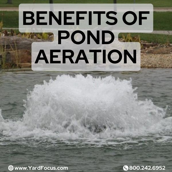 Benefits of pond aeration