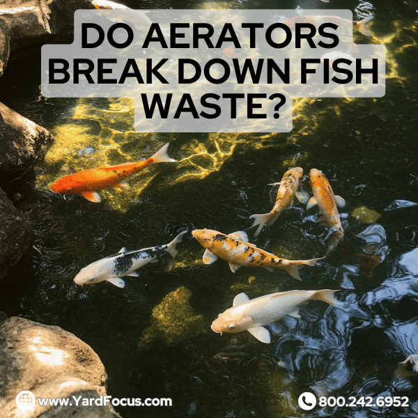 Do aerators break down fish waste?