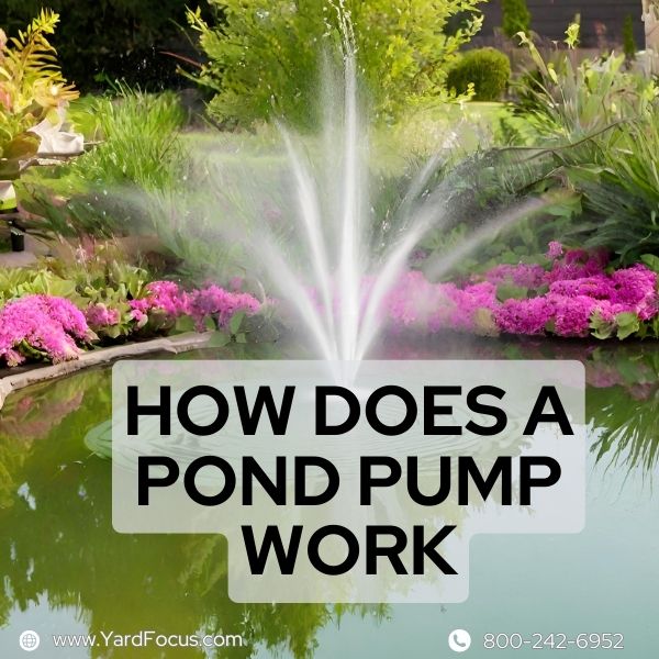 How Does a Pond Pump Work: Uncover the Secrets - Yard Focus