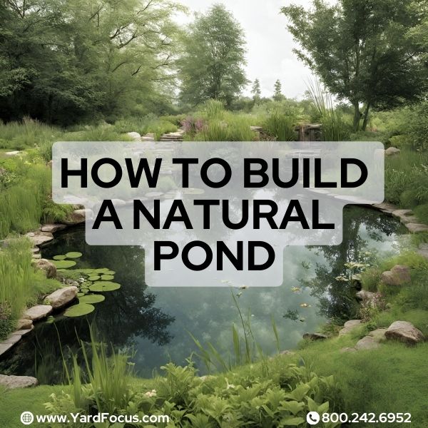 How To Build A Natural Pond In Your Own Yard - Yard Focus