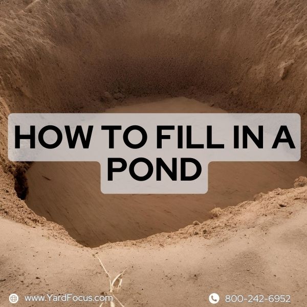 How to Fill a Pond in 5 Easy Steps: Quick & Effective!