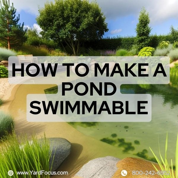 How to Make a Pond Swimmable: DIY Guide - Yard Focus