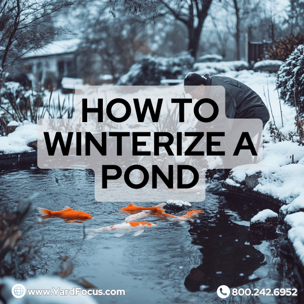 how to winterize a pond