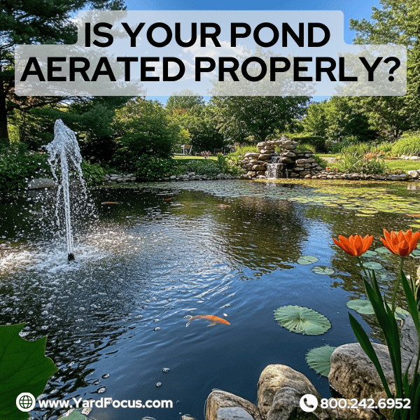 is your pond aerated properly?