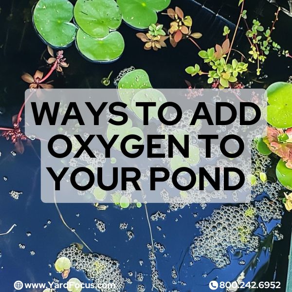 Ways to add oxygen to your pond