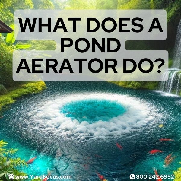 What Does a Pond Aerator Do?