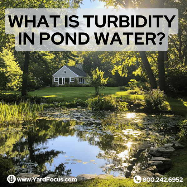 what is turbidity in pond water? 